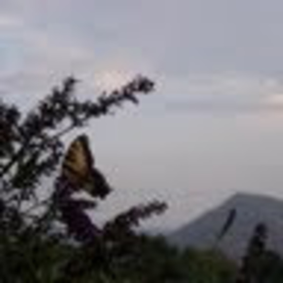 kaynabaldwin